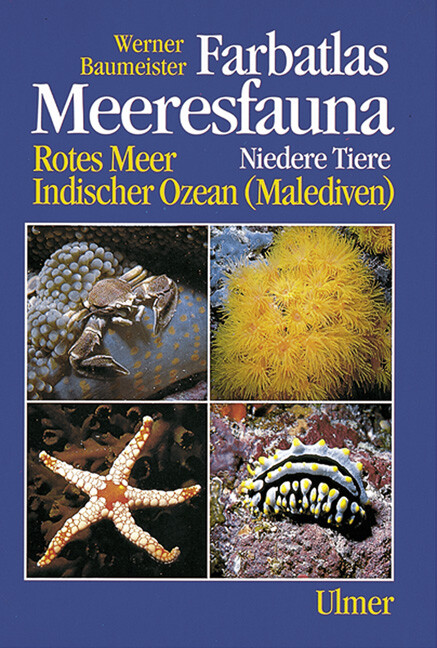 Thumbnail - Werner Baumeister / Farbatlas Meeresfauna. Rotes Meer, Indischer Ozean