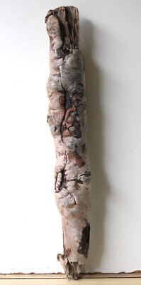 Treibholz Schwemmholz Driftwood  1  knorriger XL Stamm Dekoration Basteln 66 cm