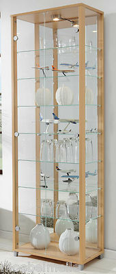 Vitrine Ausstellungsvitrine Glasvitrine Sammlervitrine Spiegel Beleuchtung