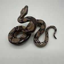 Garden Realistic Big Rubber Snake Lifelike Scary Prank Toy Joke Party Prop