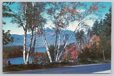Mt Chocorua Lake White Mountains New Hampshire Scenic Chrome Postcard