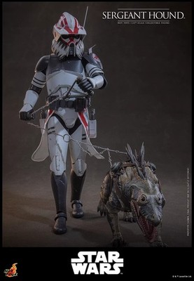 Pre-order Hot Toys TMS167 1/6 Star Wars Sergeant Hound Collectible Action Figure
