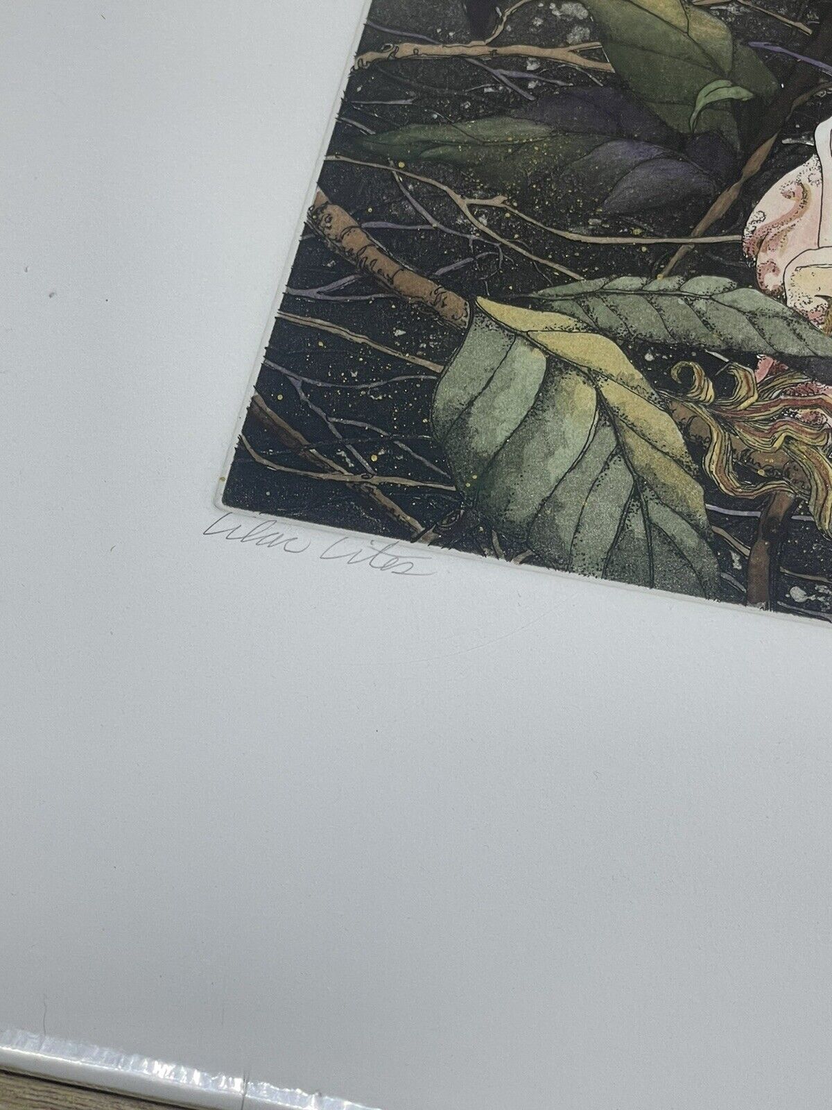 Picture 3 of 8