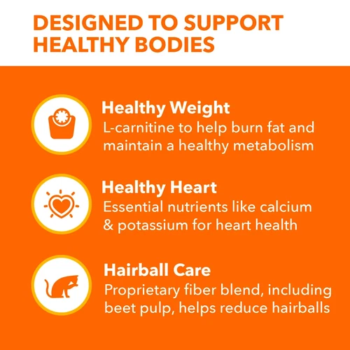 Iams Proactive Health Chicken And Turkey Dry Cat Food, 22 Lb Bag - Picture 4 of 11