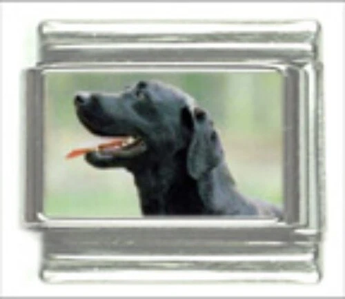 Black lab cheap bracelet