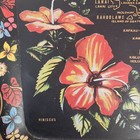 Mid Century Souvenir Metal Serving Tray Hawaiian islands — photo 6