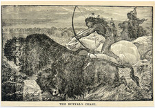 1888 Buffalo Chase Hunt Wood Engraving Victorian Native American Wild West A1F