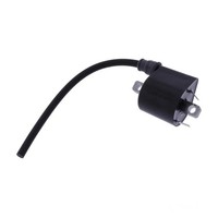 ZüNdspule Lange Version FüR Triumph Bonneville 1200 T120 Abs 2016-2021