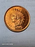 1902 Indian head penny. Red with great luster