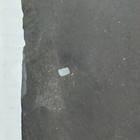 Picture 7 of 10