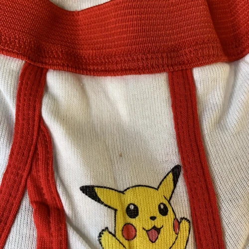サイズ 6 男の子用 フルーツオブザルーム ファンパル ポケモン ブリーフ 下着 VTG 1999 レア - 画像5/11