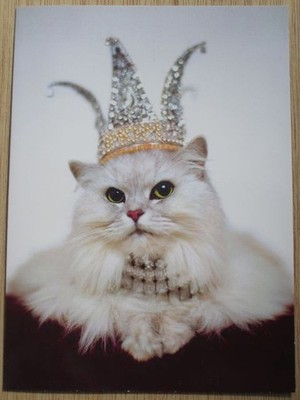 ''Every day you sparkle, but today you rule!'' AVANTI BIRTHDAY CARD Cat in Crown