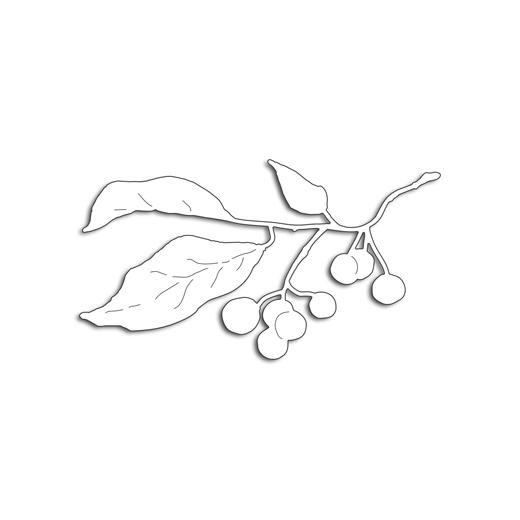 Penny Black Creative Dies - Winter Berry Branch 51-480