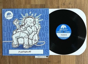 Pinegrove レコード Pinegrove Vinyl | eBay