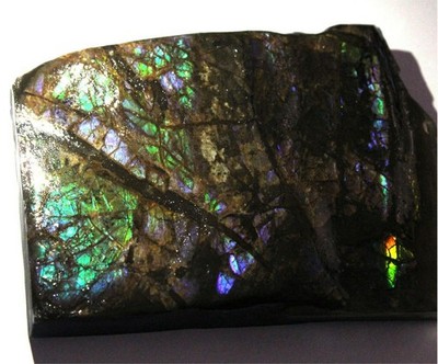 482.90Cts Natürlich Multi Flash Ammolith Grobem Erde Mineral Rock Raw Edelstein