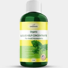 Organic Liquid Kelp Aroid Fertilizer | Seaweed Plant Food for Monstera & Pothos