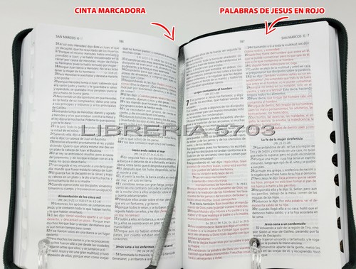 BIBEL KÖNIGIN VALERA 1960 MIT ABSCHLUSS UND INDEX UND AKTUELLEN FRAGEN - Bild 3 von 12