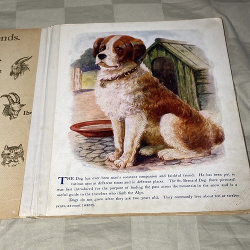 Rare 1912 1st Edition Our Four Footed Friends Farm Animals Linen No. 800 - Picture 4 of 8