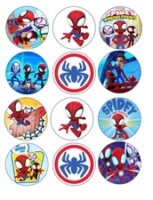 Set of 12 spiderman friends, edible paper, cupcake cookie toppers PRE CUT