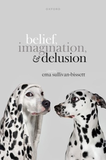 Belief, Imagination, and Delusion (Hardback Book)