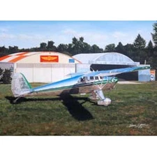 NEW Polished Perfection Lyons Studios Limited Edition Aviation Print