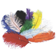 Ostrich Plumes - Costumes For All Occasions