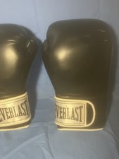 Everlast 14 Oz Boxing Gloves