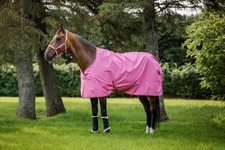Bucas Freedom Turnout light Aurora Pink Outdo...