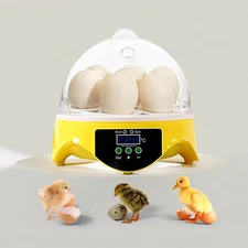 360° View 7-Egg Poultry Incubator for Hatching Chicken, Duck, Goose, Parrot, and