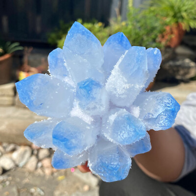 1.3LB New find blue Phantom Quartz Crystal Cluster mineral samples