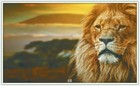 Bild 68 von 242