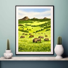 Buffalo Herd on the Plains