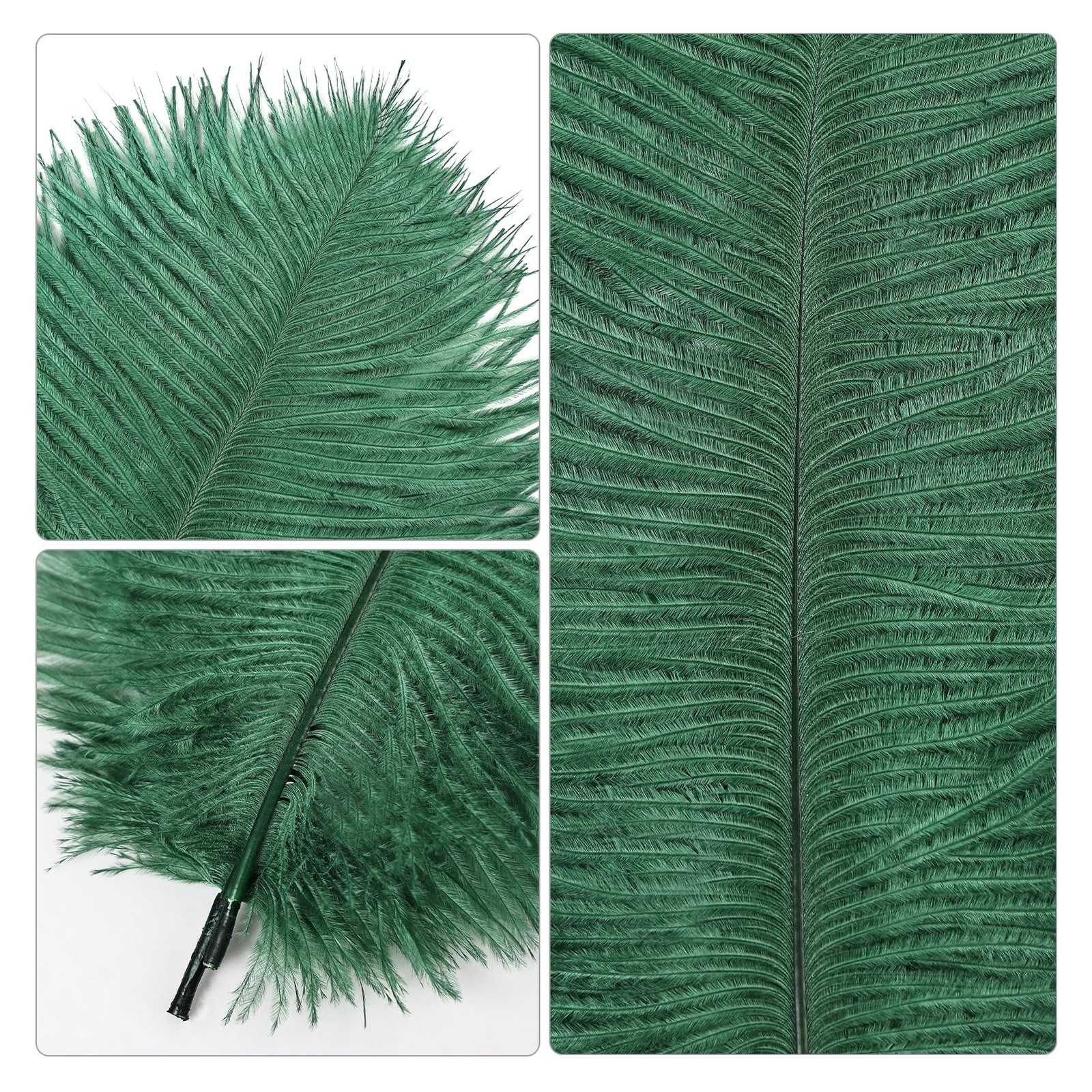 Blackish Green Ostrich Feathers 12pcs Natural Bulk 8-10Inch 20cm-25cm for Cra...