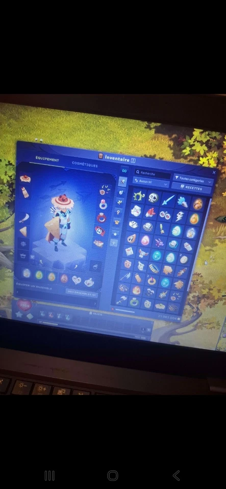 Skin Dofus De Feca - The Botex Dofus