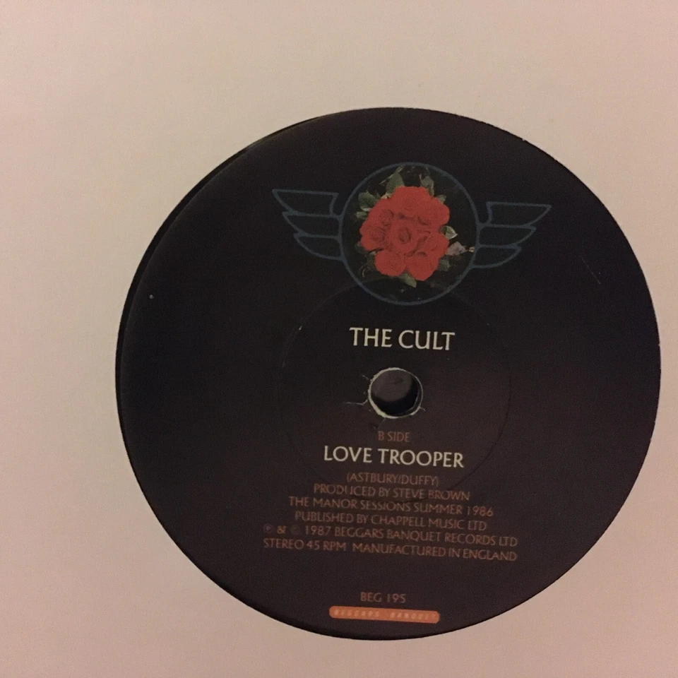 The Cult – Wild Flower 7" single vinyl record + picture sleeve 1987 Foto 4 de 4