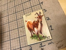 circa 1940's Original Vintage Paper on board Animal card 2x3 -- GOAT
