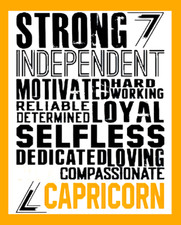 Strong Independent Motivated Hard Working Capricorn Zodiac Sign-MAGNET