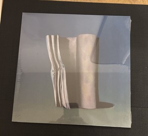 The Caretaker Vinyl | eBay