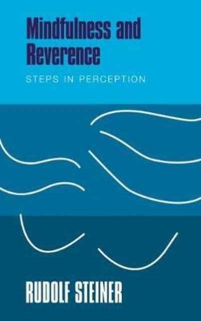 Mindfulness and Reverence Steps in Perception by Rudolf Steiner (Paperback Book)