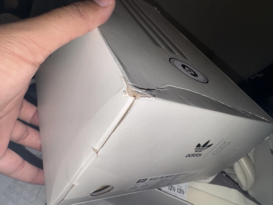 Size 12.5 - Bad Bunny x adidas Campus The Last Campus - Image 4 of 4