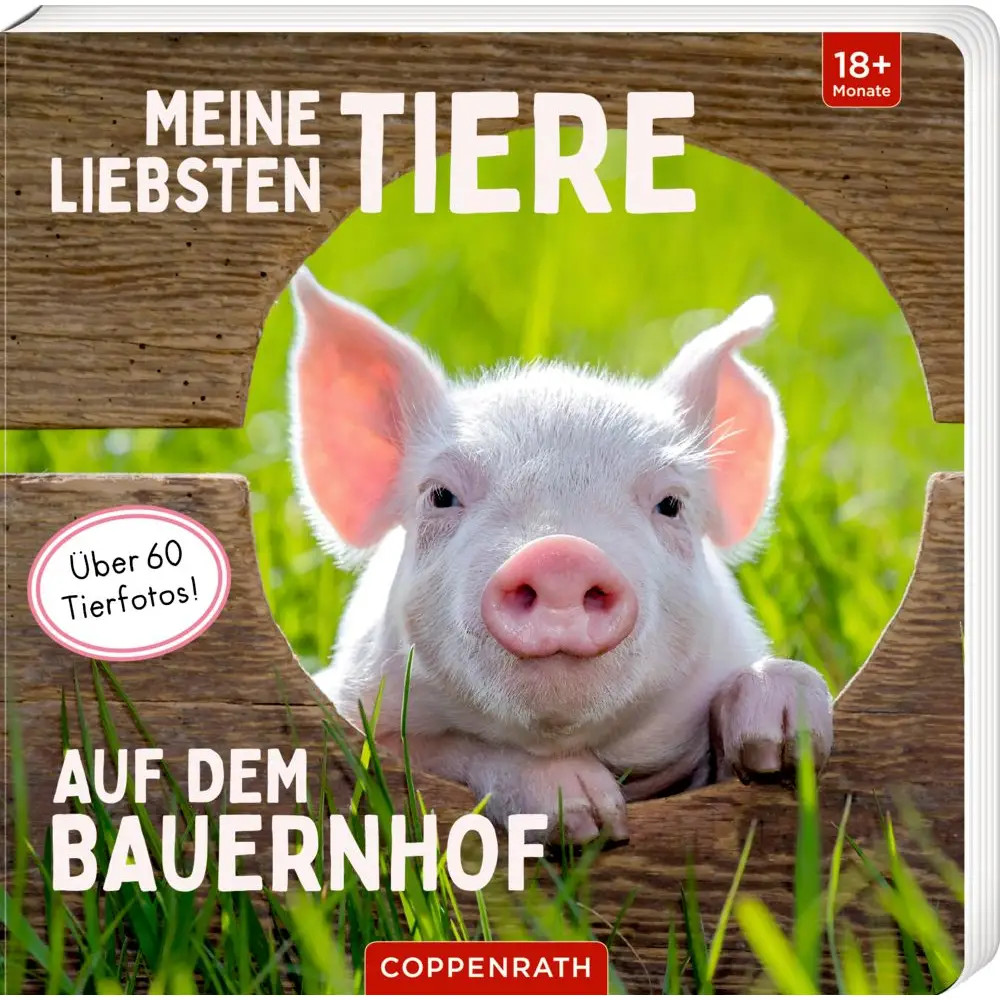 Meine liebsten Tiere auf dem Bauernhof - Bild 2