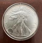 2021 AMERICAN SILVER EAGLE 1 oz .999 Silver, Brillant Uncirculated - In Airtite