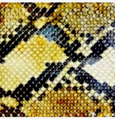 THE AMAZING SNAKEHEADS - AMPHETAMINE BALLADS [SLIPCASE] BRAND NEW CD