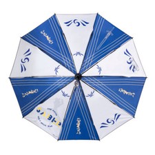 Ombrello automatico Fate Anime Cospa Fgo Saber luce notturna vinile protezione solare regalo