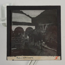 Photo Plate Circa 1920-1930 Glass Positive Glass Slide 8.5cm X 8.5cm