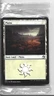 Plains 2021 Magic Midnight Hunt Promo Deck #380 Wotc New Factory Sealed