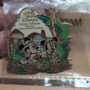 Disney WDW Limited Edition Pin Trading Night 2007 Animal Kingdom Villas Pin