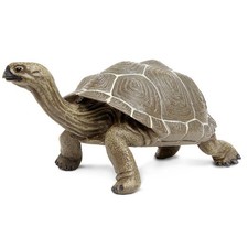 Tortoise Large Incredible Creatures Figure Safari Ltd NEW IN STOCK