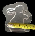 Foto 7 di 8