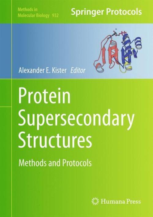 Alexander E. Kister | Protein Supersecondary Structures | Buch |